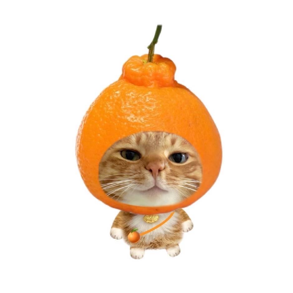 法式浓香蛋挞酥