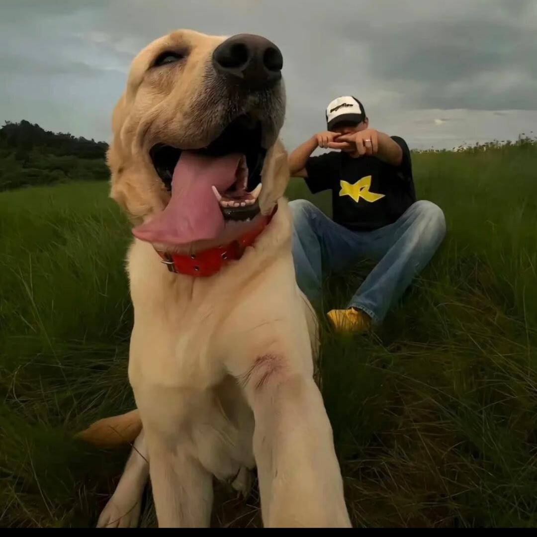 我要长到一米八