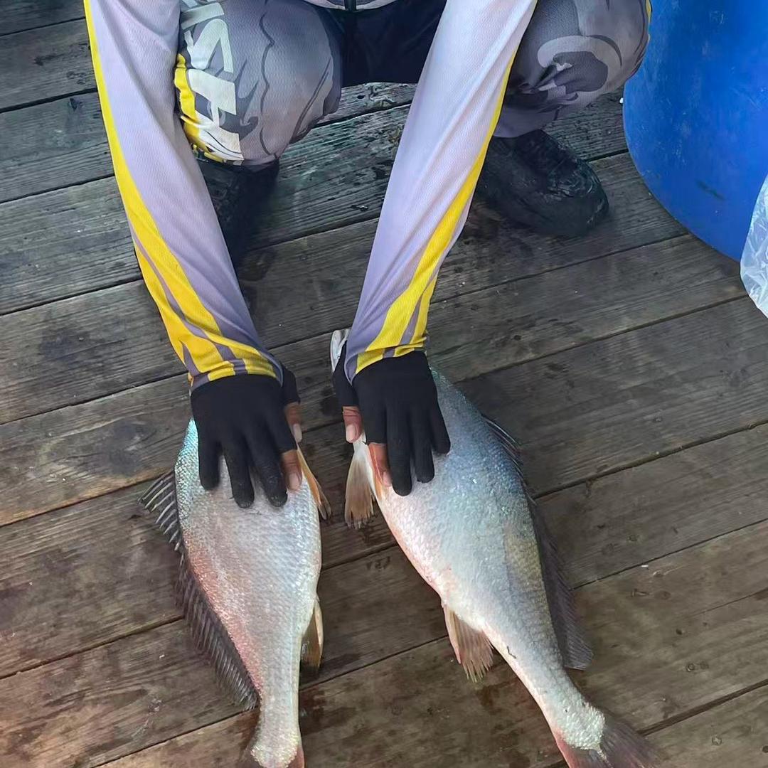 海🎣阿七[有带客]