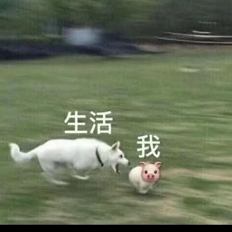 言