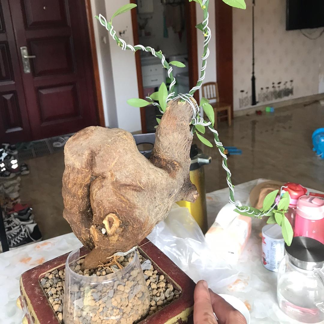 往事随风