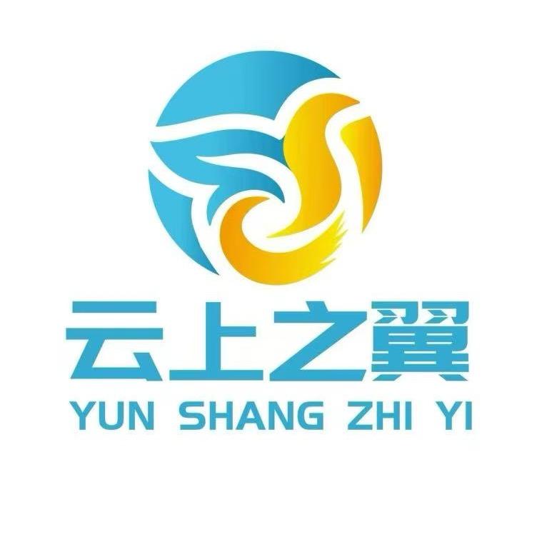 云翼〈拳击〉次老师
