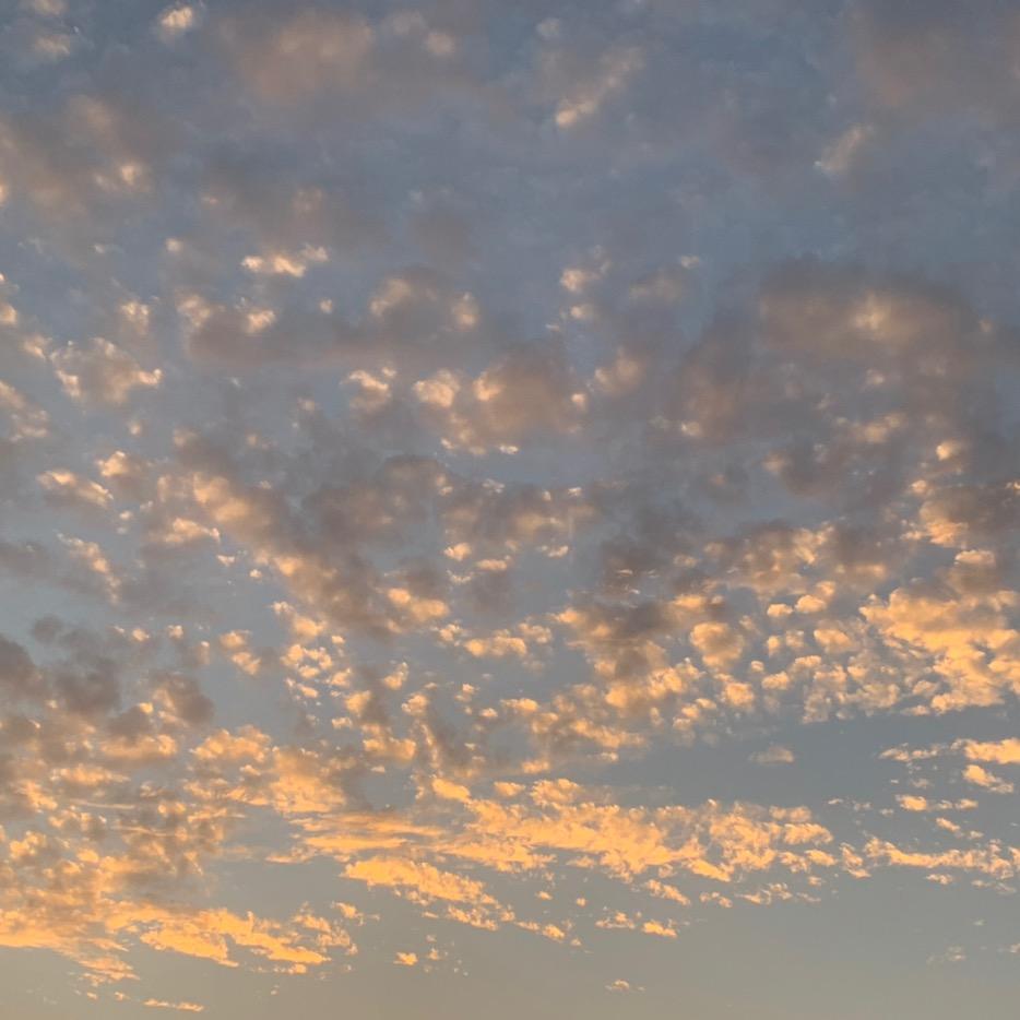 源客口袋速食专营店