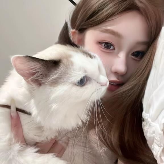 心碎猫咪