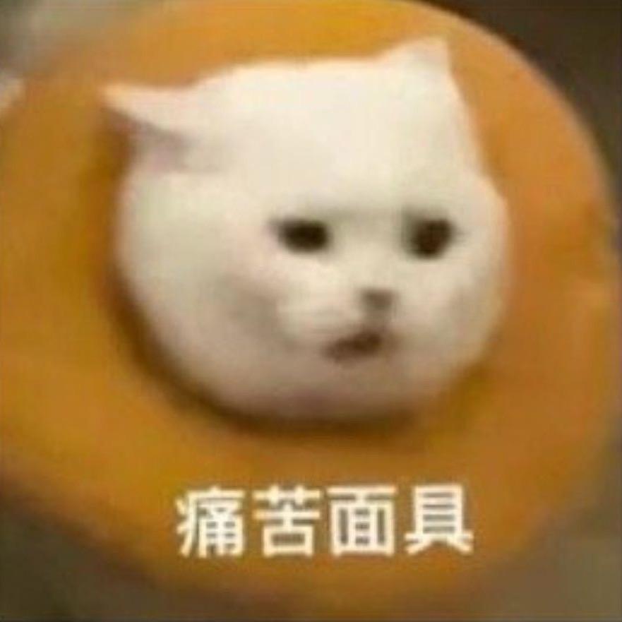 超绝鸽鸽子.