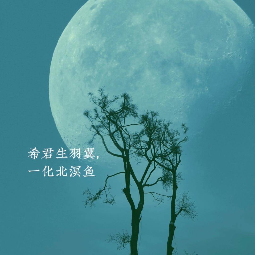 愿君生羽翼