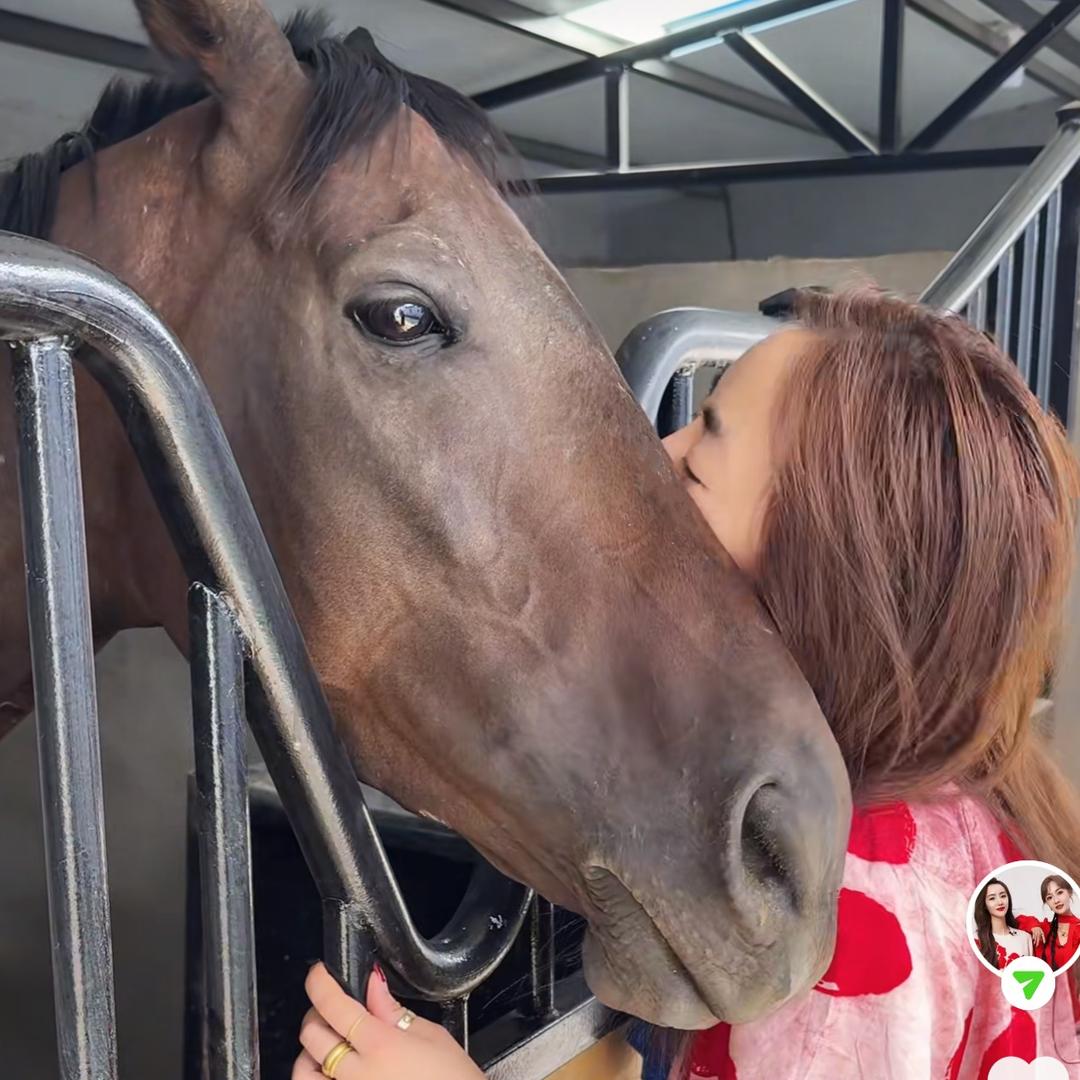 马宇菲的🐎华宇飞鸿