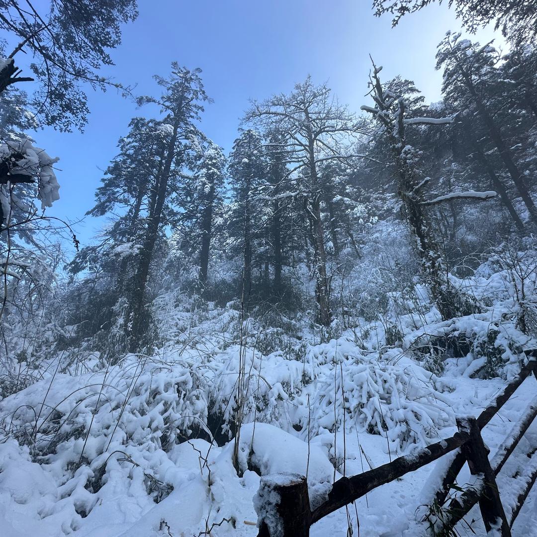 成都办公室选址 蔡sir