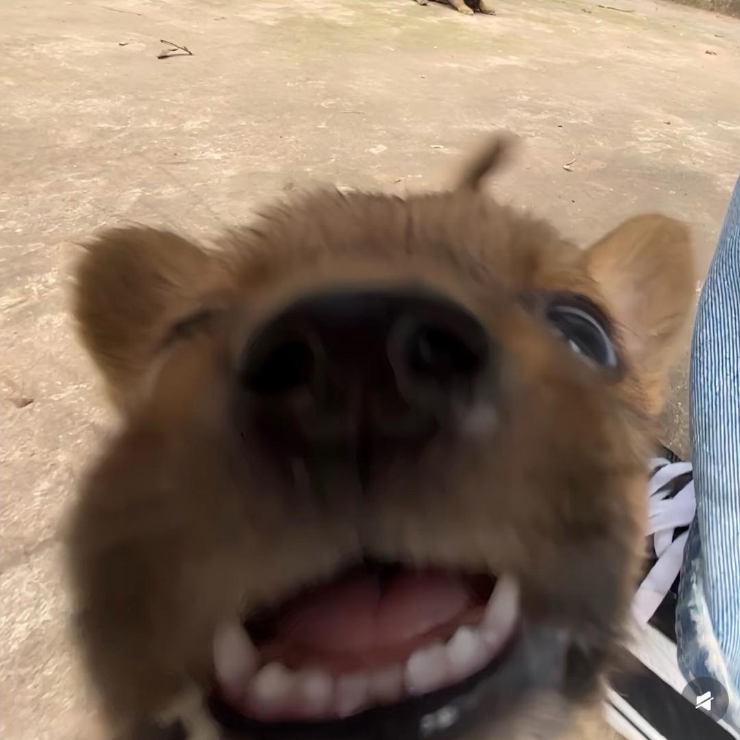 Alone.（冬眠版）