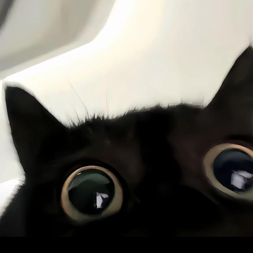 Kitty.
