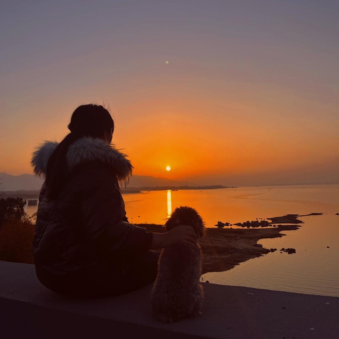 小太阳🌞