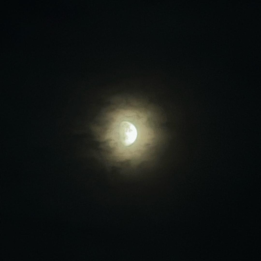 啊强（三角洲行动）