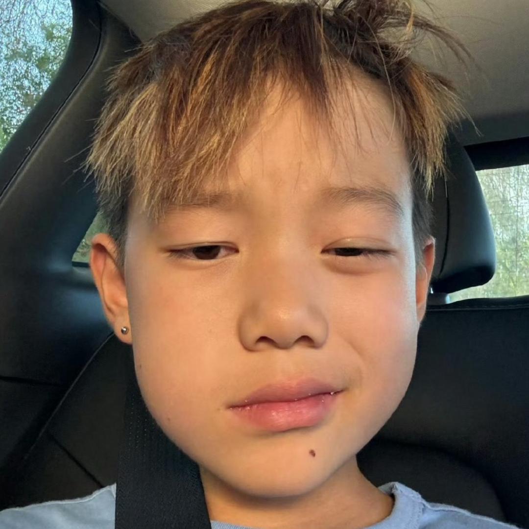 修摄的小马