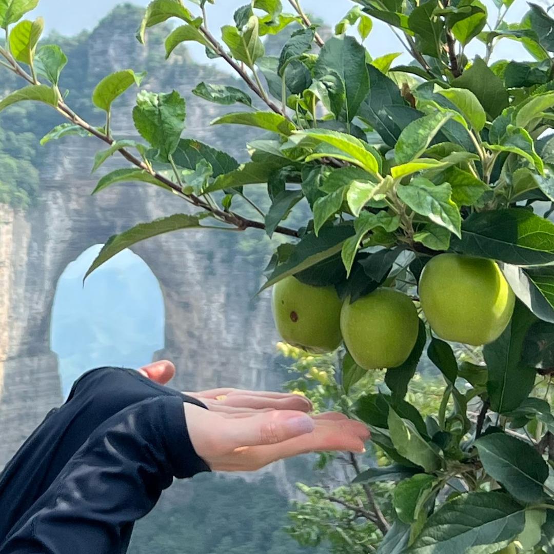 赵 ☀️