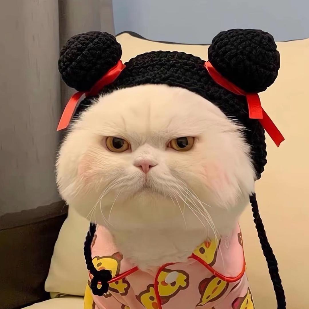 茹茹不吃鱼、
