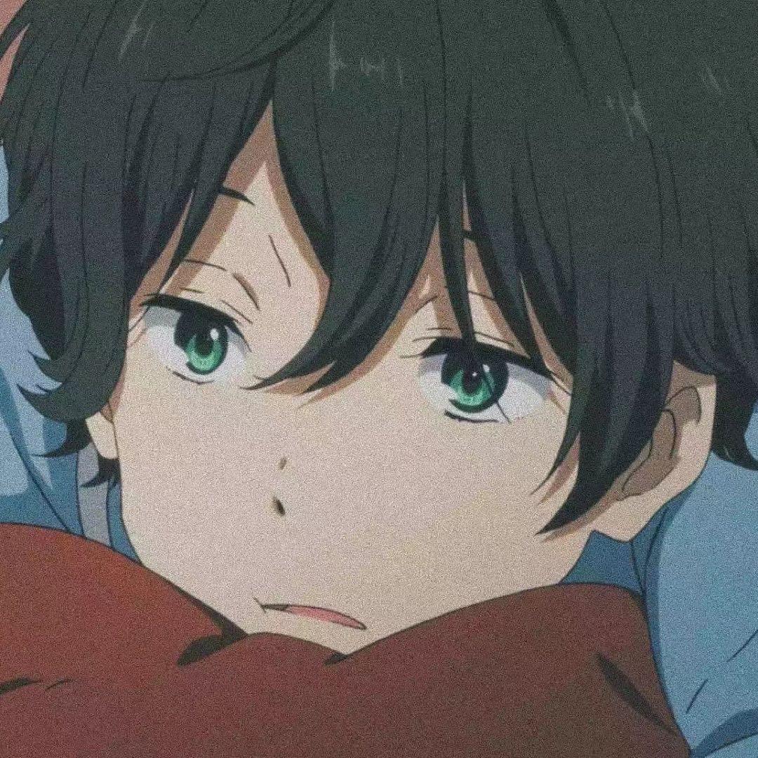 枫