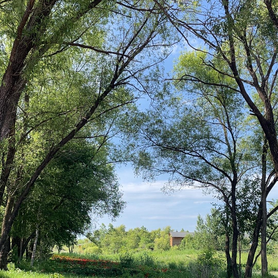 小芸在安顺、做素食餐厅