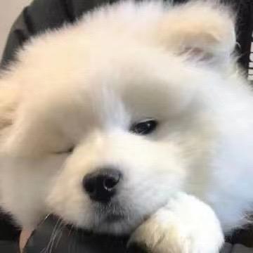 戥