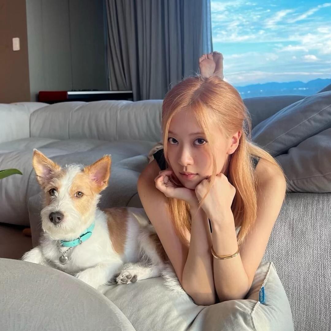 悦悦子