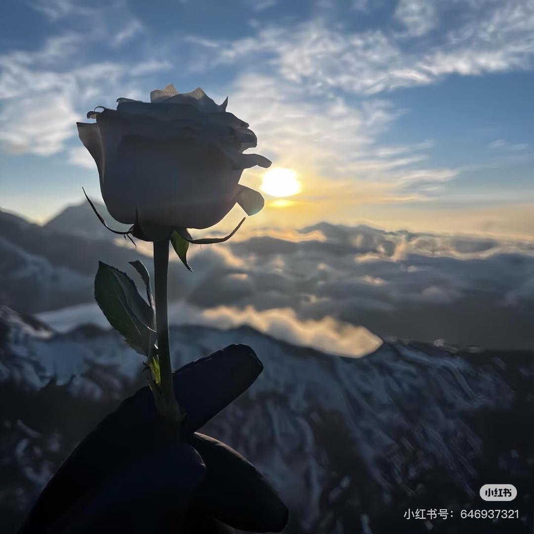 东山·