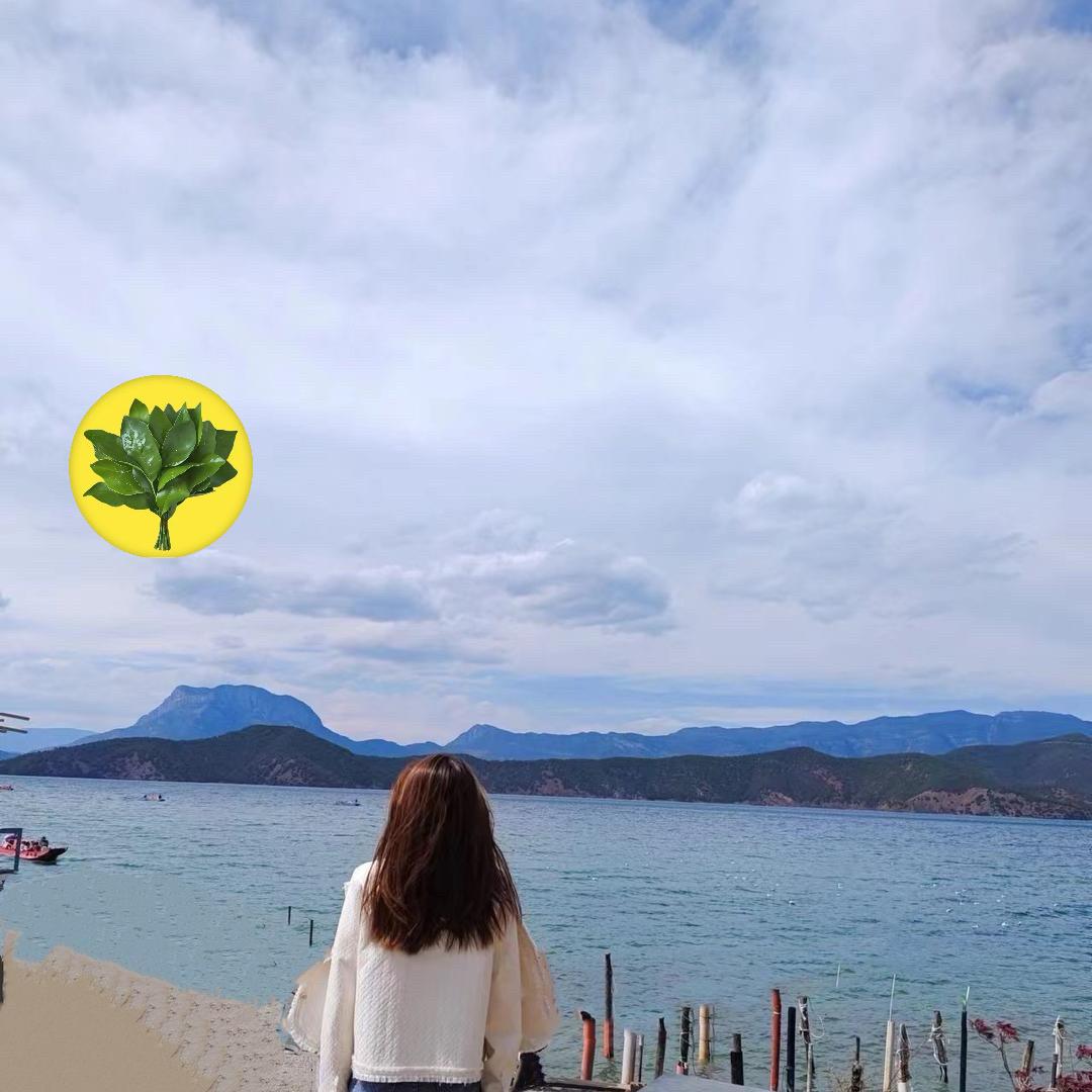 凉城菇凉i