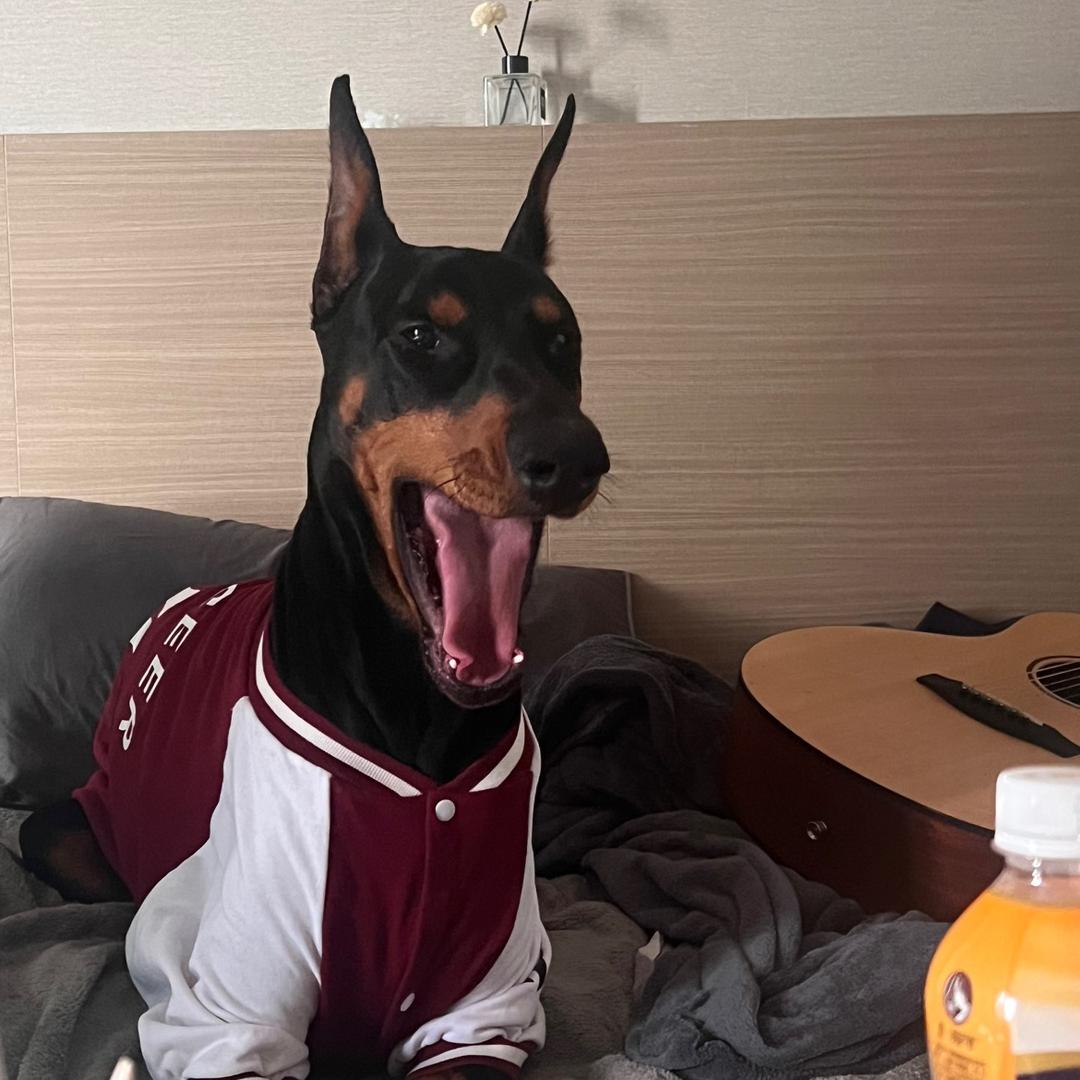 700日记