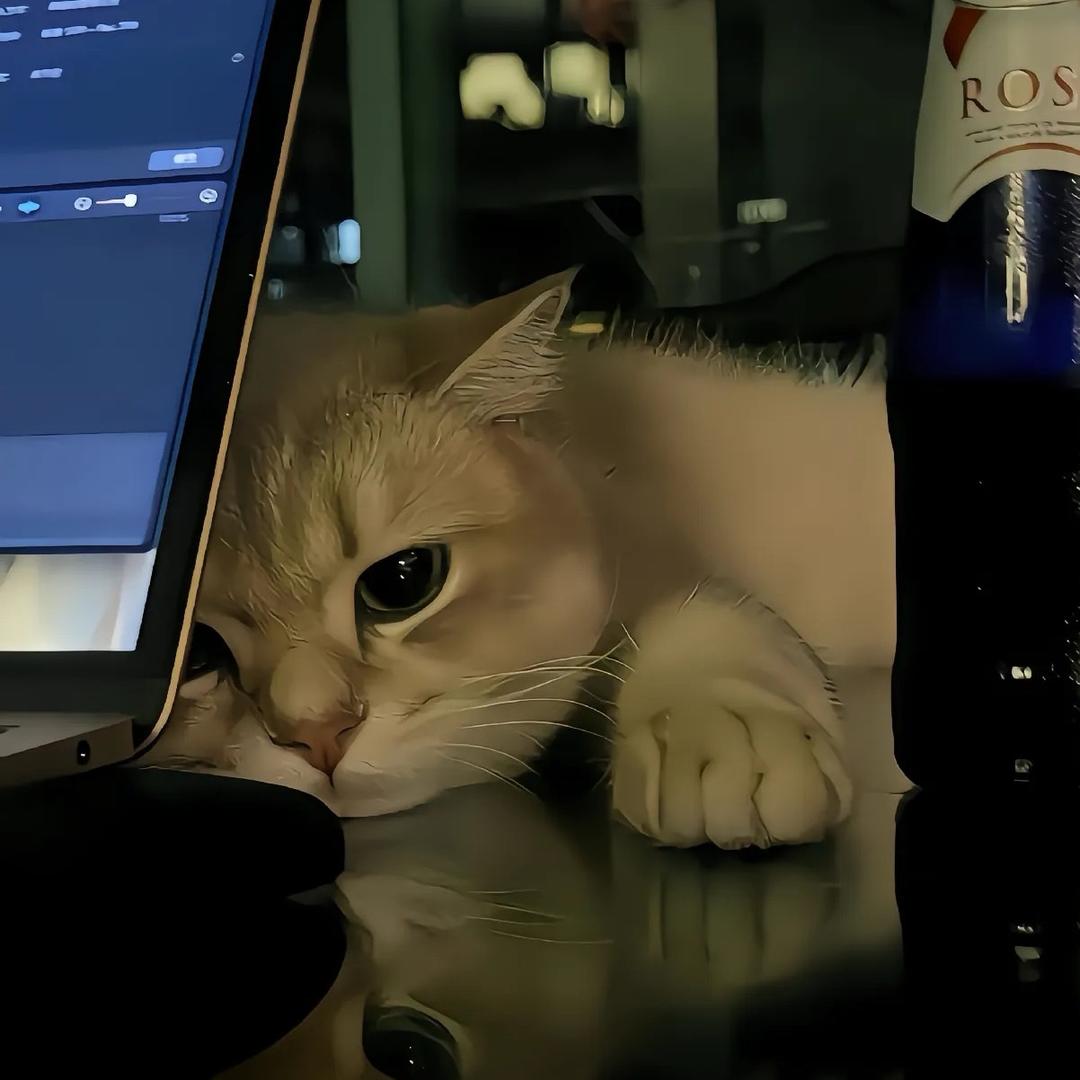 卖核弹的小女孩（广州酒吧 组局版）