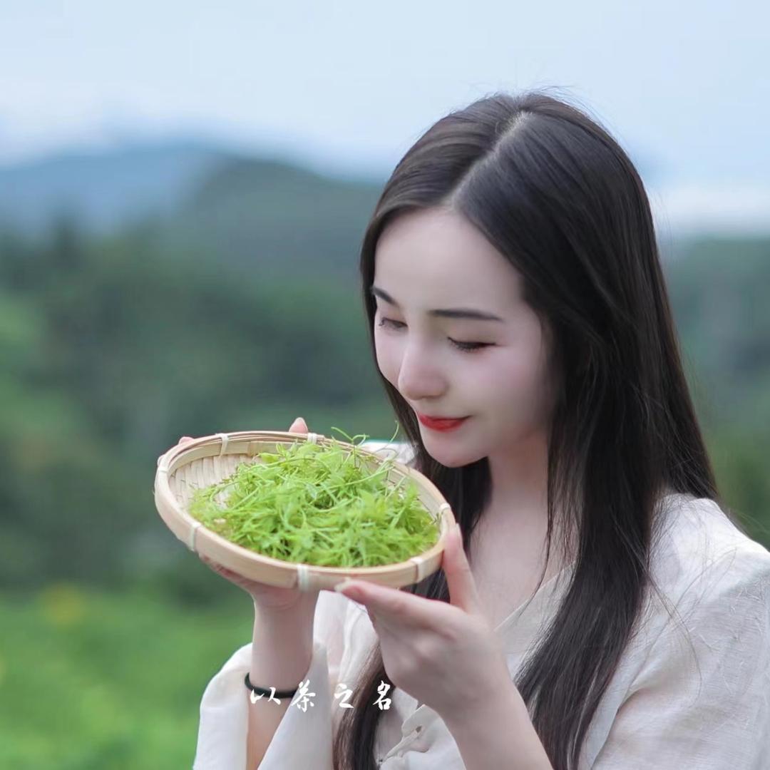 土家阿妹有莓茶