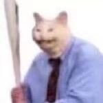 狸猫眼(>^ω^<)
