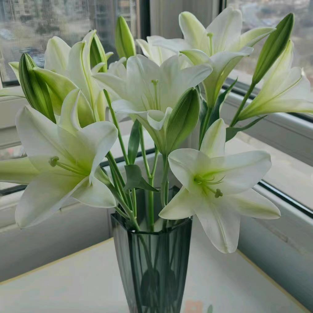 秦公子@鲜花@代购