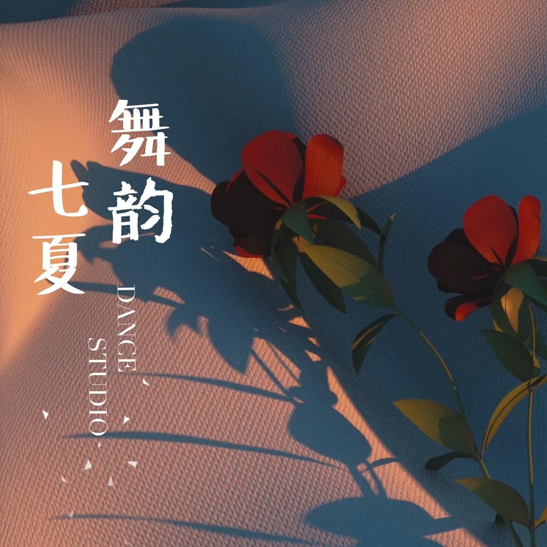 七夏舞韵舞蹈健身（天津）有限公司