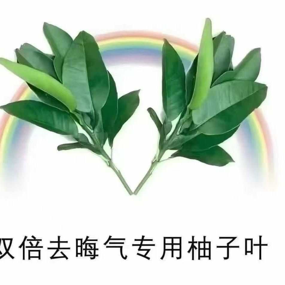 瞌睡来了！