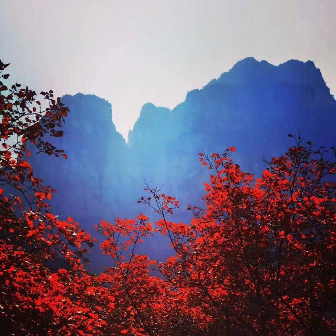 雷帝丝秀！中草香鞋垫