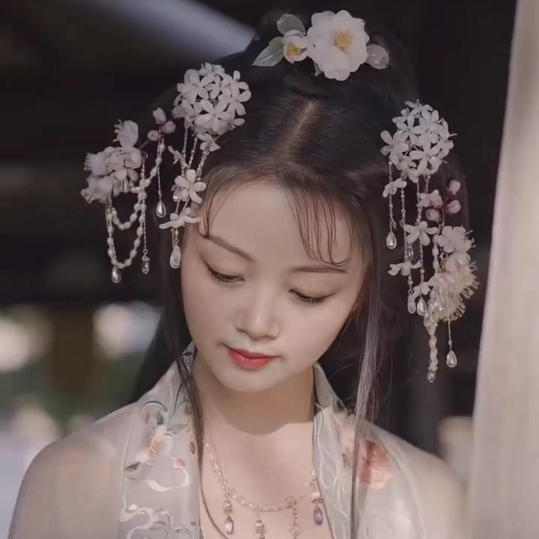 🌹主子🌹