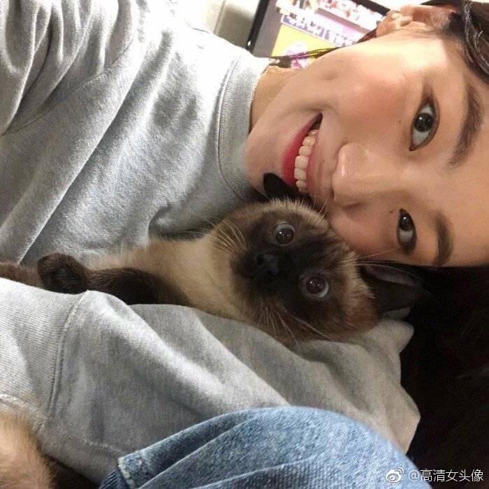 临邑这份情（婚车）