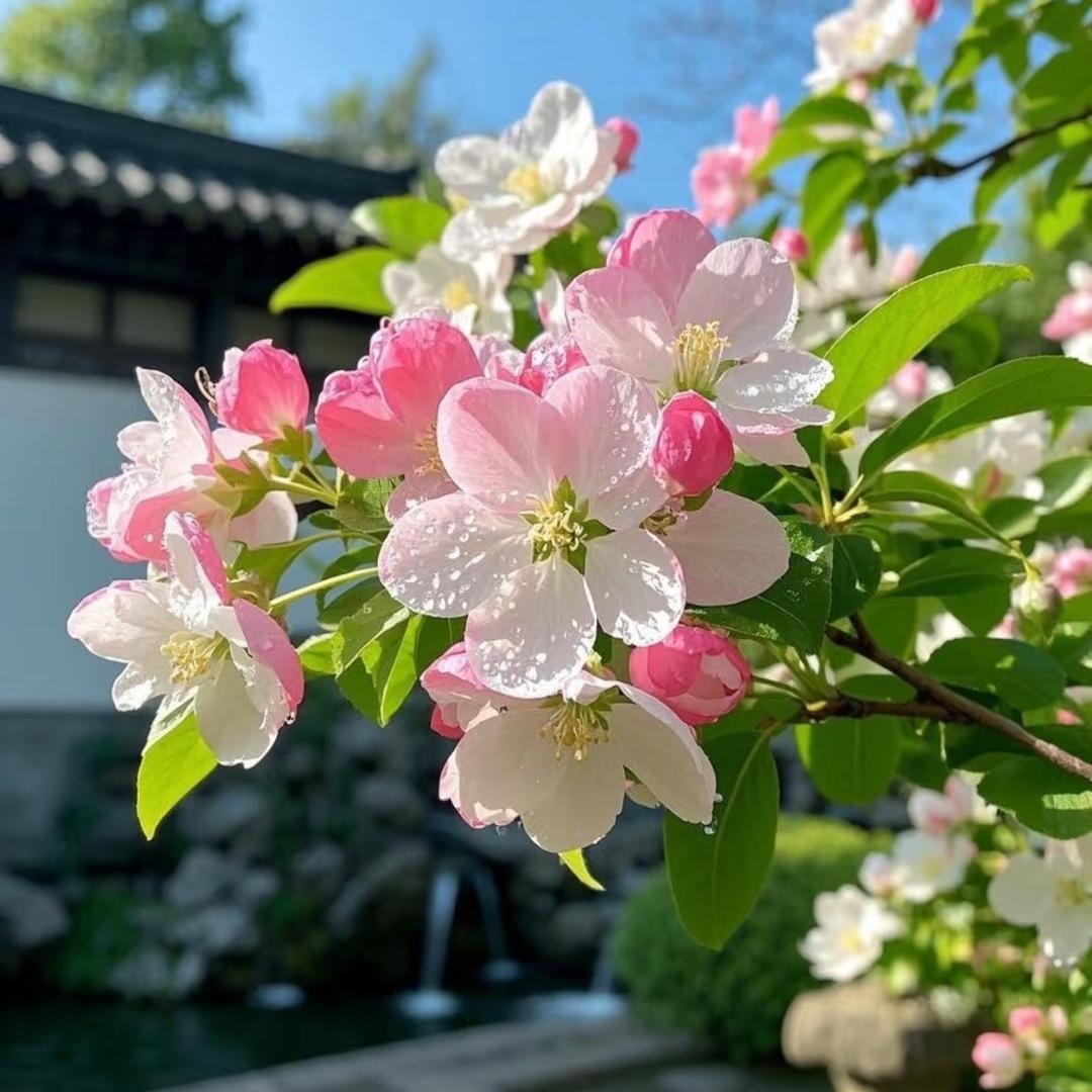 山水花卉