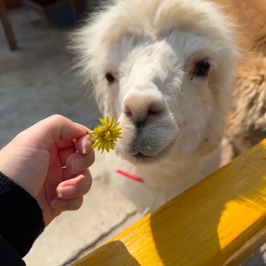 就感觉味道还不戳