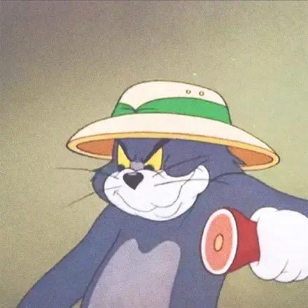 凨止.