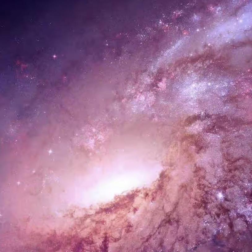 盘山百草产品精选