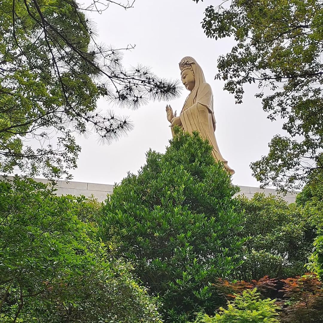 农耕农服（牛）