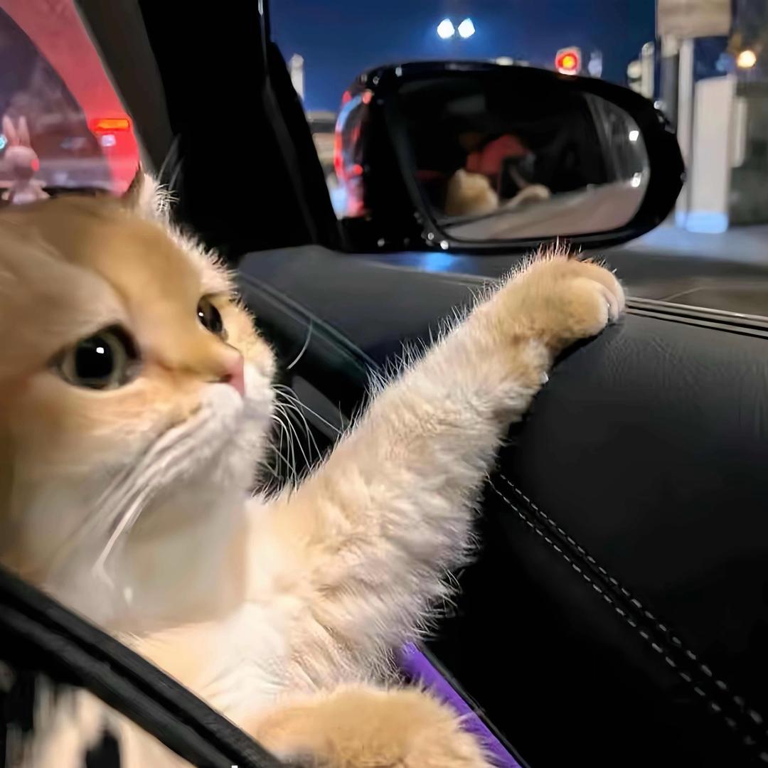 🌈睡个好觉՞😃՞