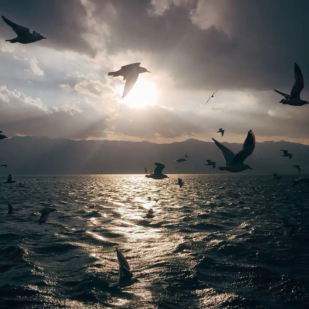 年愁的今夜未到乡