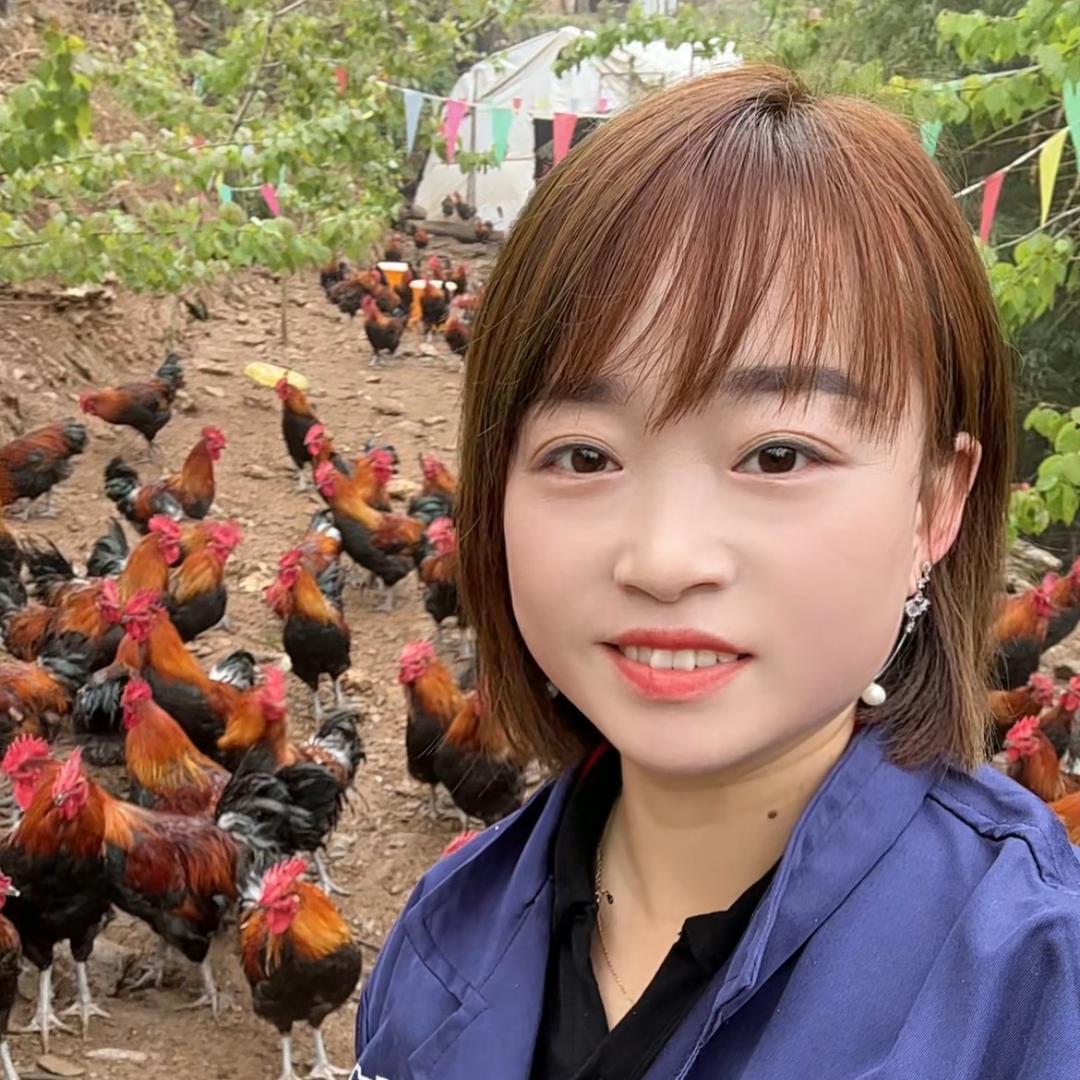 养鸡人花姐