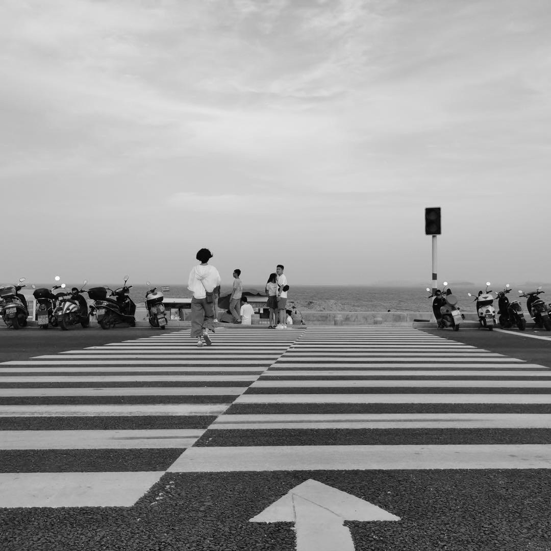 两只胖虎唉