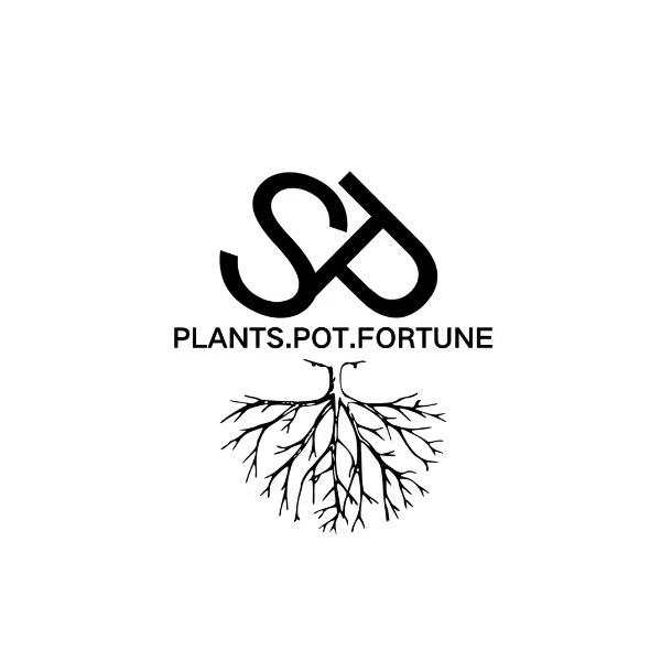 上吉＠潮流花盆