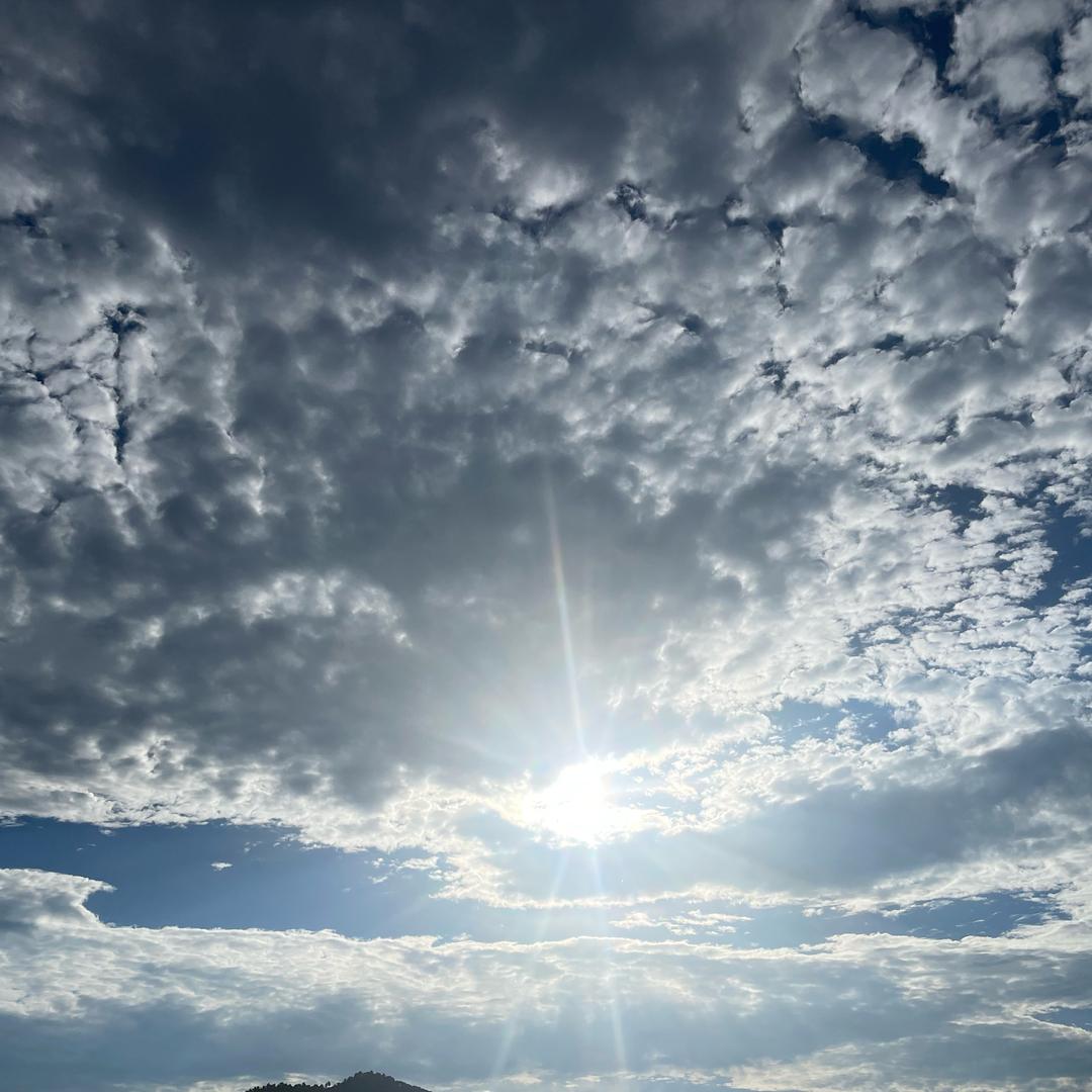 拾野