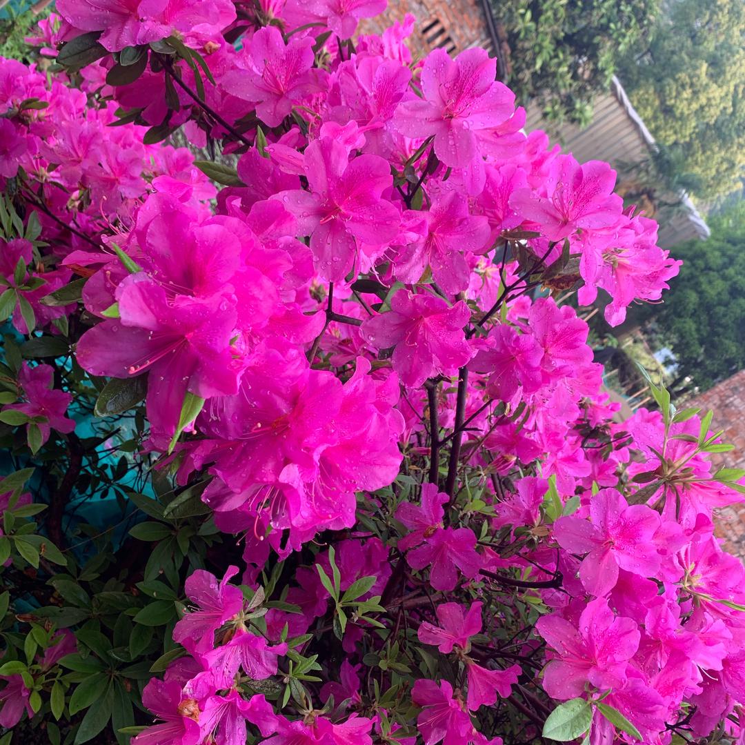 🥰两宝贝🥳