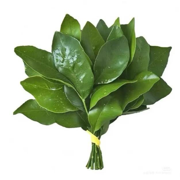·樂