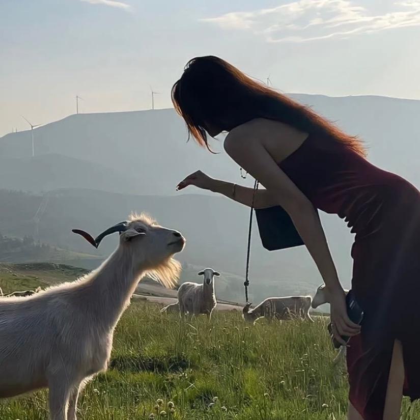 小鱼房产观（顺德）