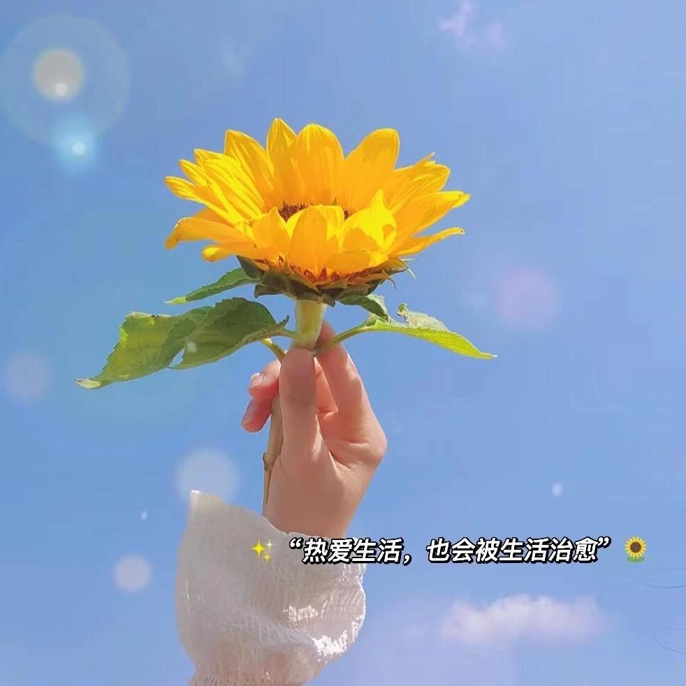 物是人非@